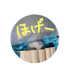 ぺんたんハムハム（個別スタンプ：6）