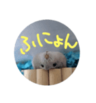 ぺんたんハムハム（個別スタンプ：7）