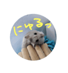 ぺんたんハムハム（個別スタンプ：9）