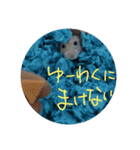 ぺんたんハムハム（個別スタンプ：11）