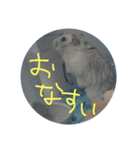ぺんたんハムハム（個別スタンプ：13）