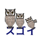 ミミズクとコノハズク（個別スタンプ：3）