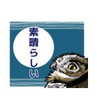 ミミズクとコノハズク（個別スタンプ：4）