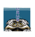 ミミズクとコノハズク（個別スタンプ：9）