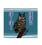 ミミズクとコノハズク（個別スタンプ：11）