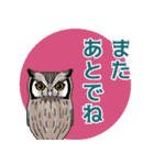 ミミズクとコノハズク（個別スタンプ：14）