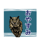 ミミズクとコノハズク（個別スタンプ：16）