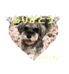 ミラクルボーイ★ガッチュくんスタンプ（個別スタンプ：7）