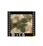 ミラクルボーイ★ガッチュくんスタンプ（個別スタンプ：16）