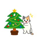 【冬/Xmas/お正月】もちもちほっぺのねこ7（個別スタンプ：1）