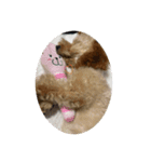 maayjaammiir（個別スタンプ：3）