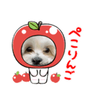 maayjaammiir（個別スタンプ：6）