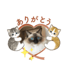 もこはなスタンプ3（個別スタンプ：6）