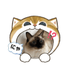 もこはなスタンプ3（個別スタンプ：13）