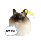 もこはなスタンプ3（個別スタンプ：14）