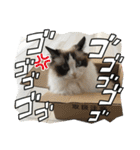 もこはなスタンプ3（個別スタンプ：18）