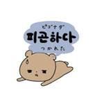 うさぎとくまの韓国語（個別スタンプ：13）