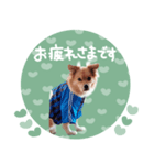 ココびうスタンプ（個別スタンプ：7）