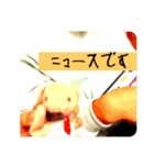 くまぷースタンプ1（個別スタンプ：5）