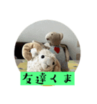 くまぷースタンプ1（個別スタンプ：8）