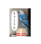 ぴーちゃんPart3（個別スタンプ：5）