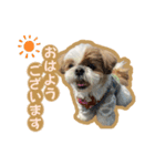 可愛いきなこちゃんスタンプ（個別スタンプ：2）