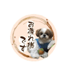 可愛いきなこちゃんスタンプ（個別スタンプ：7）