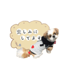 可愛いきなこちゃんスタンプ（個別スタンプ：8）