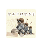 可愛いきなこちゃんスタンプ（個別スタンプ：9）