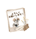 可愛いきなこちゃんスタンプ（個別スタンプ：11）