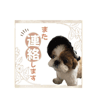 可愛いきなこちゃんスタンプ（個別スタンプ：14）