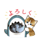 にゃんこ（琴乃華）のアップVer.（個別スタンプ：11）