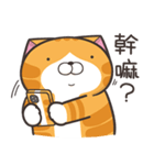 ランラン猫 39 (台湾版)（個別スタンプ：1）