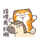 ランラン猫 39 (台湾版)（個別スタンプ：4）
