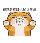 ランラン猫 39 (台湾版)（個別スタンプ：5）