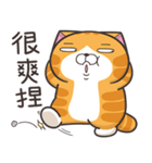 ランラン猫 39 (台湾版)（個別スタンプ：8）