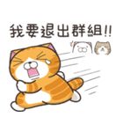 ランラン猫 39 (台湾版)（個別スタンプ：10）