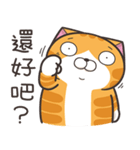 ランラン猫 39 (台湾版)（個別スタンプ：16）