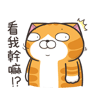 ランラン猫 39 (台湾版)（個別スタンプ：20）