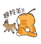 ランラン猫 39 (台湾版)（個別スタンプ：26）