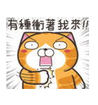 ランラン猫 39 (台湾版)（個別スタンプ：31）