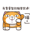 ランラン猫 39 (台湾版)（個別スタンプ：37）