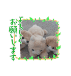 みんな専用❣️（個別スタンプ：19）