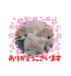 みんな専用❣️（個別スタンプ：20）
