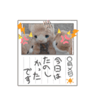 みんな専用❣️（個別スタンプ：21）