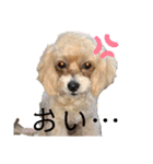 愛ゆえにver.3（個別スタンプ：3）