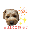 愛ゆえにver.3（個別スタンプ：5）