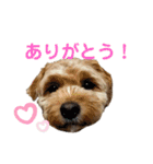 愛ゆえにver.3（個別スタンプ：7）