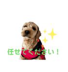 愛ゆえにver.3（個別スタンプ：13）