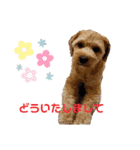 愛ゆえにver.3（個別スタンプ：15）